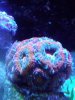 20190917_143820.jpg