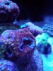 20190917_143853.jpg