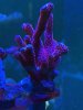 89BDC2C2-9B76-468E-9835-CE776425EC11.jpeg