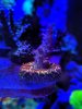 IMG_20191009_175240.jpg