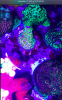 Screen Shot 2019-11-17 at 11.16.07 PM.png