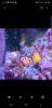 Screenshot_20191124-181232_Gallery.jpg