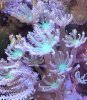 20191124_181019.jpg
