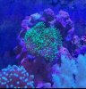 20191124_181105.jpg