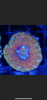 E6717470-6A94-4C90-A382-920221E1F4C9.png