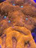 7CD60762-071F-4811-9B73-DFC557C011B4.jpeg