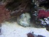 100_1793.JPG