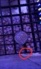 Screenshot_20200314-082041_Gallery.jpg