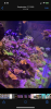4EED0B27-386A-429F-93BC-8B2B4BE4F13B.png