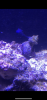 381A623C-9C44-443F-821B-F99E2820F4FE.png