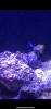 77AE5023-E1A2-48E7-81DF-96E2FE350D82.png