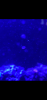 27B93332-721B-4873-8C2B-D3F75E4234A7.png