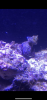 3B9EBD93-4C4F-4DCA-B85B-EA7293565BA3.png