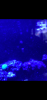 1C76887E-4DD5-44C7-ADF9-56F9F65B0280.png