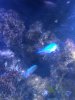 IMG_6460.jpeg
