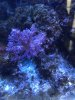 IMG_6461.jpeg