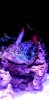 20200416_130621.jpg