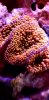 20200416_130712.jpg