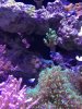 089C6028-3C4D-48F2-BBC6-09079C4BC8FC.jpeg