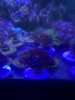 54046F6A-C308-4654-82F5-CECE4CE418A5.jpeg