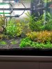 20180224_170839.jpg
