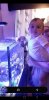 Screenshot_20200506-154048_Video Player.jpg