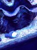 20200523_172255.jpg