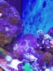 20200524_192129.jpg