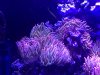 904F5966-565B-4141-887E-34E0881F027E.jpeg