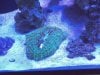 20200609_153321.jpg