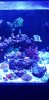 20200615_202114.jpg