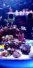 20200617_180825.jpg