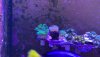 8CA07B19-AC5D-4738-ACD7-B0079E15D840.jpeg