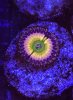 060A027D-1C47-408D-8E75-BE16B372BD2E.jpeg