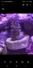 Screenshot_20200625-082206_Gallery.jpg