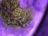 93094F9B-76A5-4C5E-A73D-AEA57A5230BF.jpeg