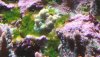 20200707_122102.jpg