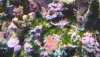 20200707_122041.jpg