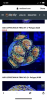 18F78371-B05B-4179-B2F3-035B93F8E671.png