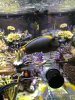 47D6737F-D49B-40C0-B488-AA2C28CEA2B4.jpeg