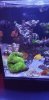 Screenshot_20200729-162216_Gallery.jpg