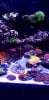 20200803_160053.jpg