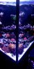 20200803_160123.jpg