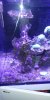 20200806_203904[1].jpg