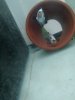 20200810_120706.jpg