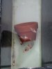 20200810_120718.jpg