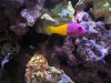 IMG_20200403_155635.jpg