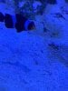 5DB234F1-3D4D-44FB-ACE9-84066A69A2A3.jpeg