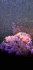20200907_203941.jpg