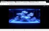Screenshot_20200828-180630_Chrome.jpg